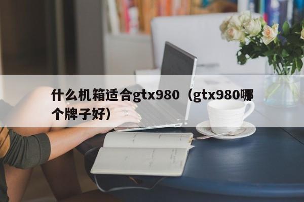 什么机箱适合gtx980（gtx980哪个牌子好）