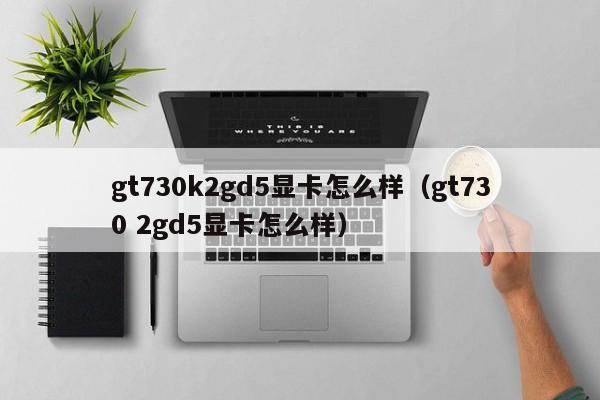gt730k2gd5显卡怎么样（gt730 2gd5显卡怎么样）